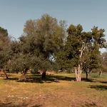 Casa Valentina *